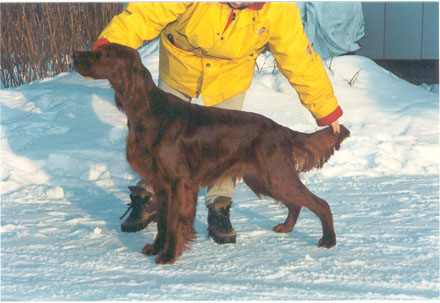 Misty Lake's Chevalier