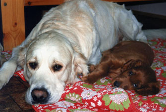 Big boy and small girl, Elmer and Fanny