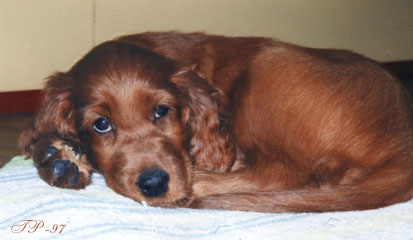 Cute little girl, Fanny