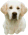 Link to Golden Retrievers