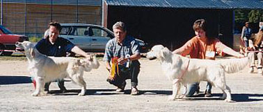 Dog Show in Lapinlahti