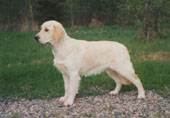 Link to Misty Lake's Dreaming Duchess