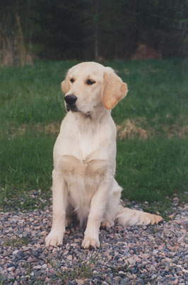 Sally istuu/ Sally sits