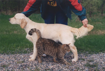 Sally & Viiru