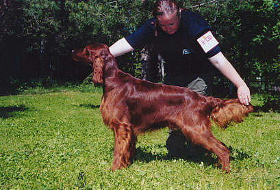Misty Lake's Chevalier